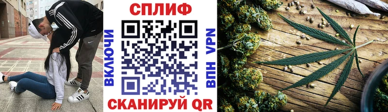 KRAKEN как войти  наркошоп  Шуя  Конопля сатива 